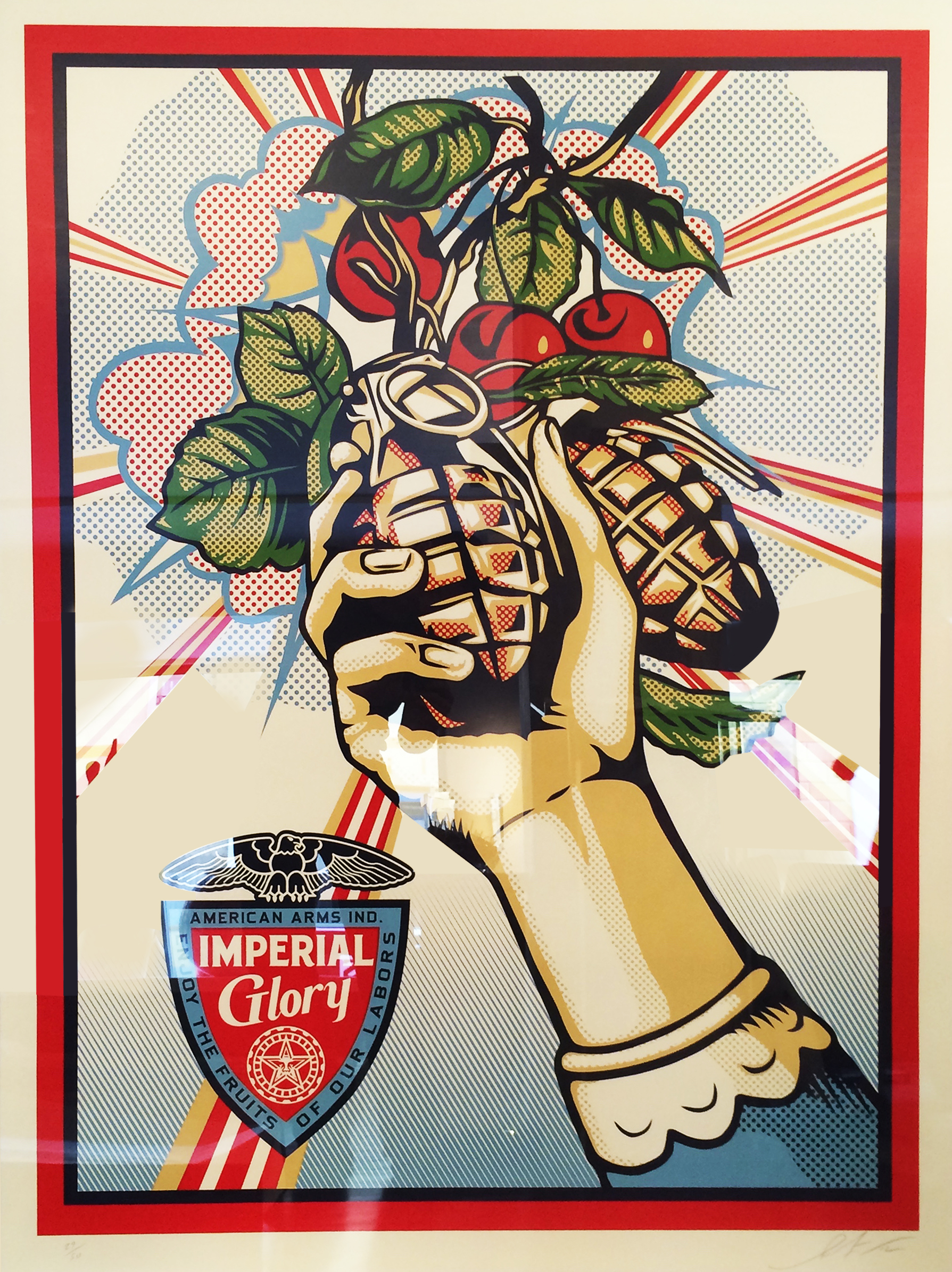 Bild von Shepard Fairey